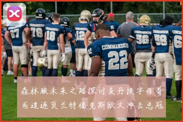 森林狼未来之路探讨麦丹换字母哥或追逐莫兰特福克斯欧文冲击总冠军