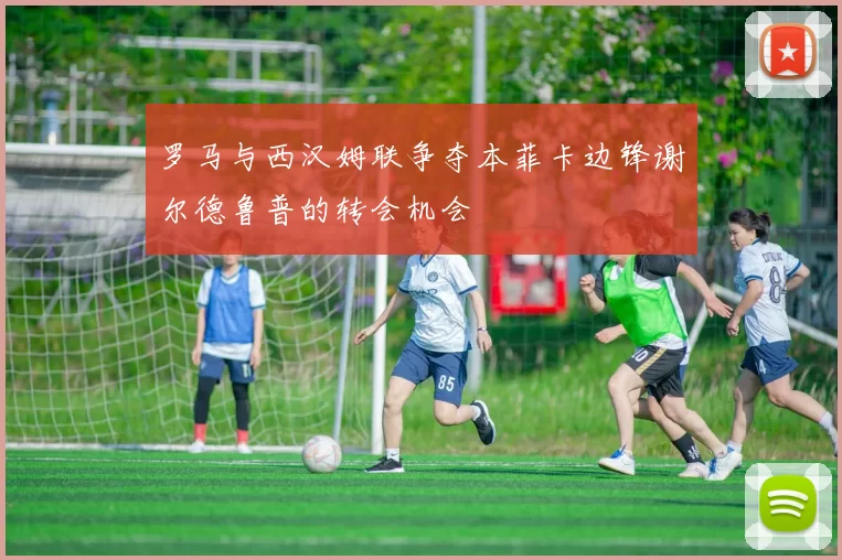 罗马与西汉姆联争夺本菲卡边锋谢尔德鲁普的转会机会