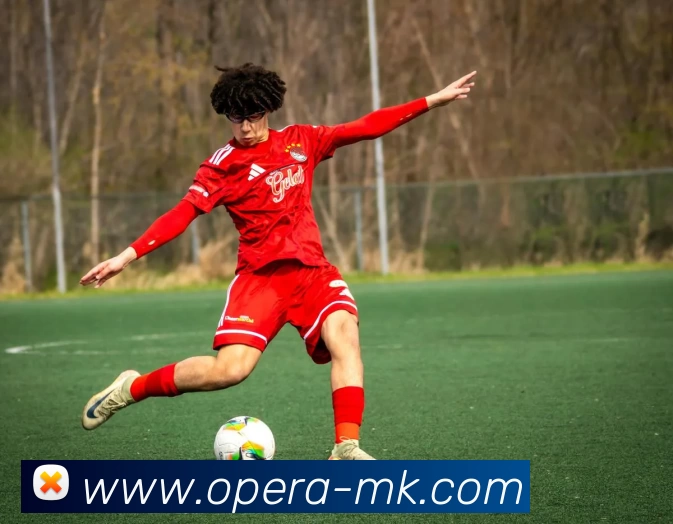 MK体育APP 高清赛事图